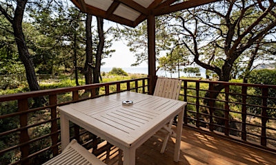 Pine House